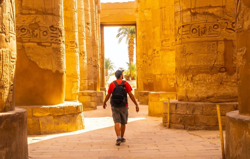 Full Day Tour from Cairo to Luxor, Domestic Flights Included