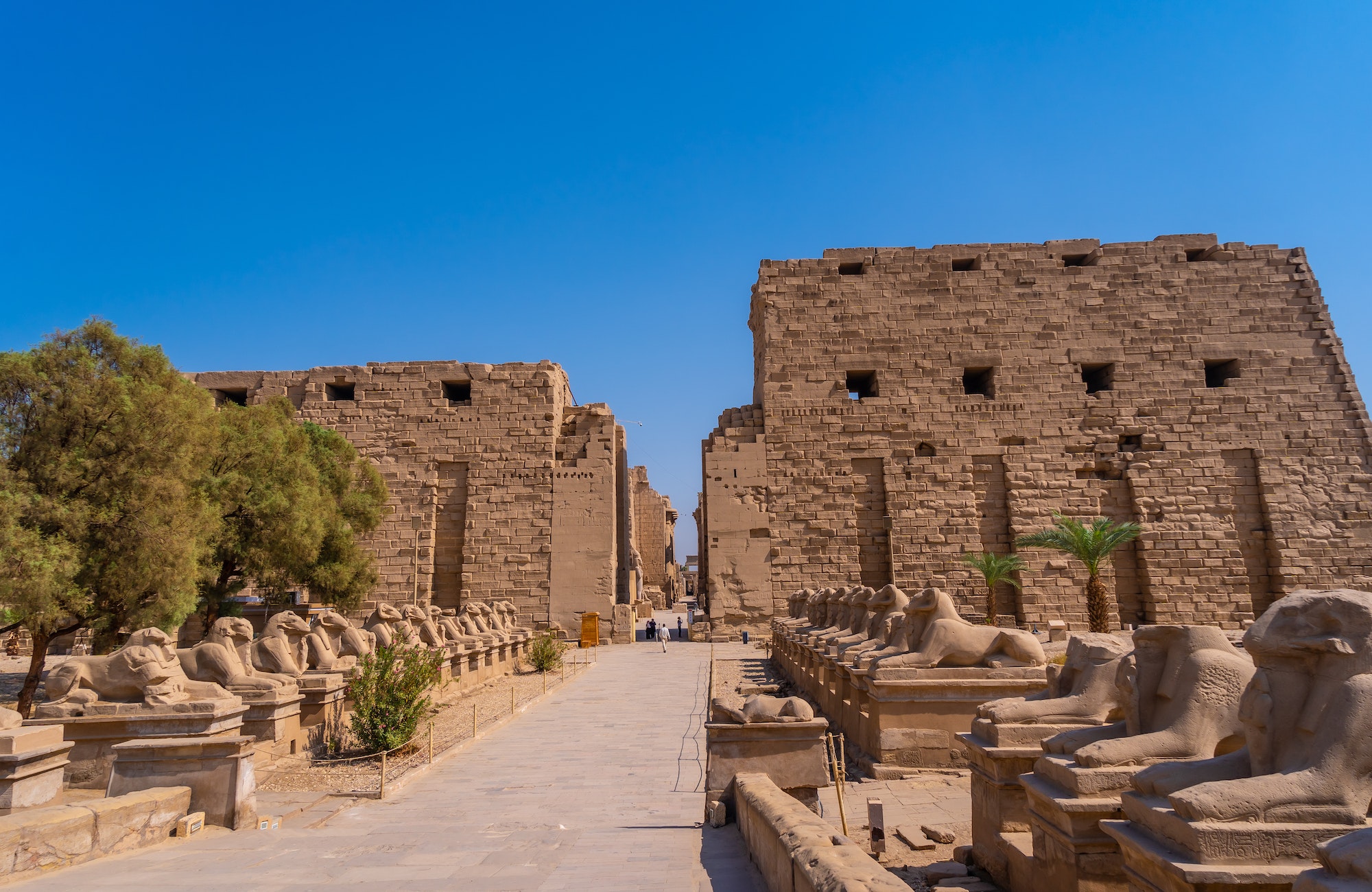 Karnak temple, and Luxor temple. (Duration: 2 hours)