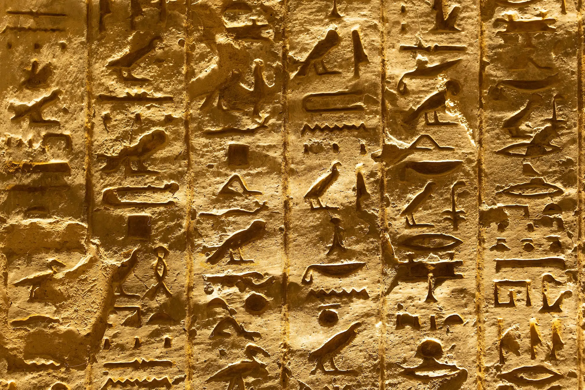 Day 2: Kom Ombo and Edfu<br>  <br>Morning:  Explore the unique double temple of Kom Ombo, dedicated to Sobek and Horus.   <br><br> Afternoon: ail to Edfu. After lunch, visit the Temple of Horus, one of Egypt’s best-preserved temples. <br><br>  Evening: Relax onboard with dinner and entertainment as you sail towards Luxor.