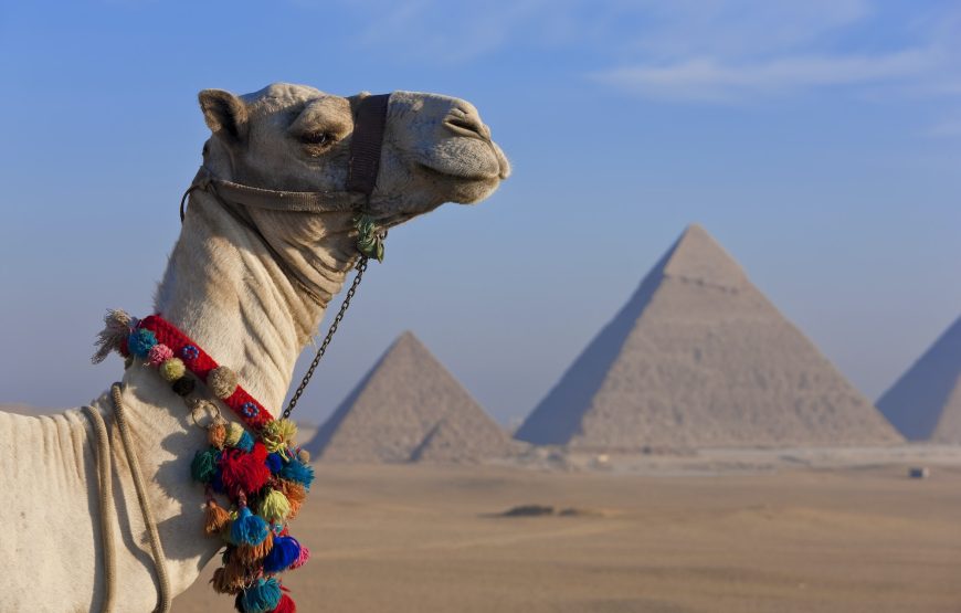 One Day Tour from (Luxor, Aswan or Hurghada) to Cairo’s Most Famous Landmarks