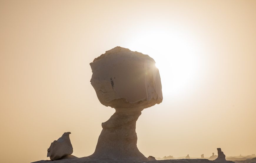 2 Days Trip to Bahariya Oasis White Desert from Cairo