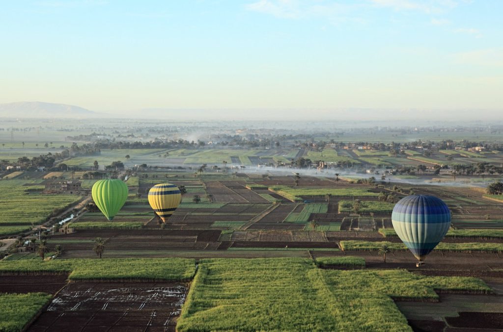 Hot-air balloons drifting low over green fields on Luxor's West Bank
